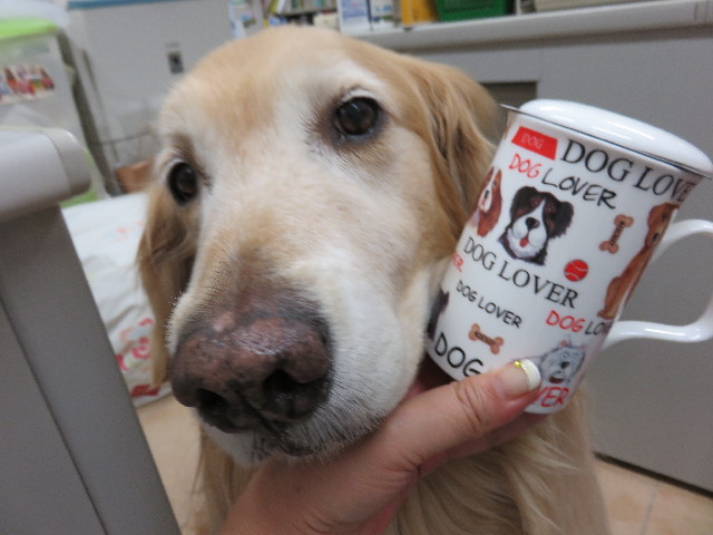 ファイル 4319-3.jpg