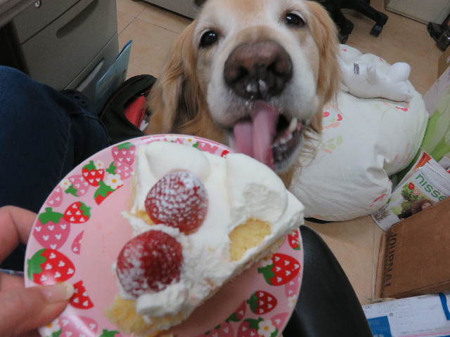 ファイル 4319-4.jpg