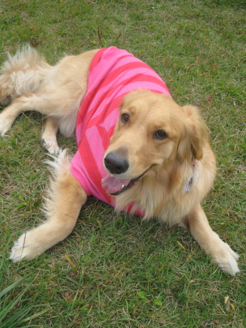 ファイル 432-2.jpg