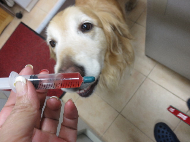 ファイル 4320-1.jpg