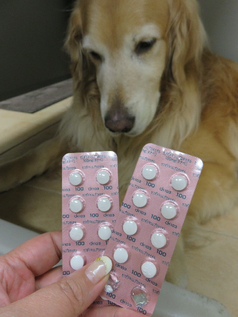 ファイル 4320-3.jpg