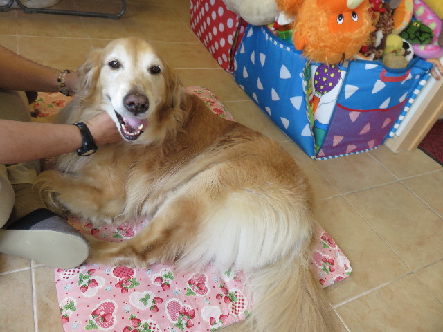 ファイル 4321-5.jpg