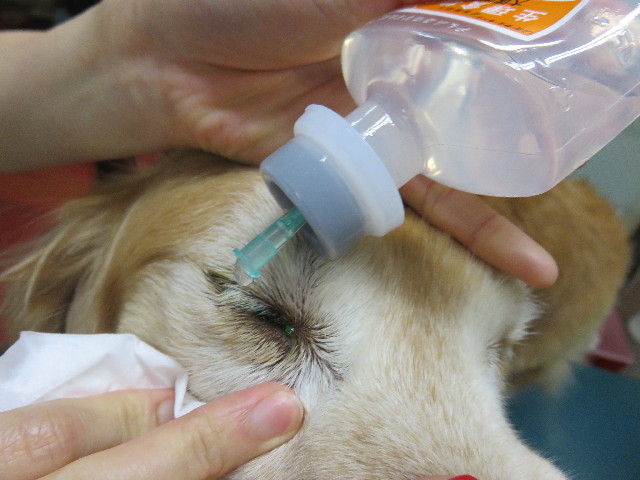 ファイル 4322-2.jpg