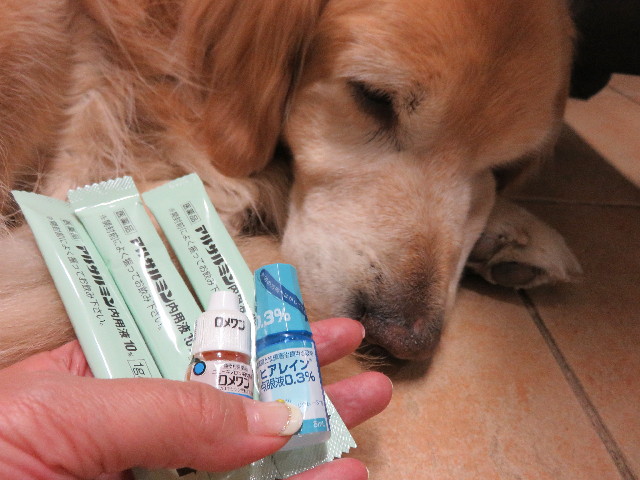 ファイル 4322-4.jpg