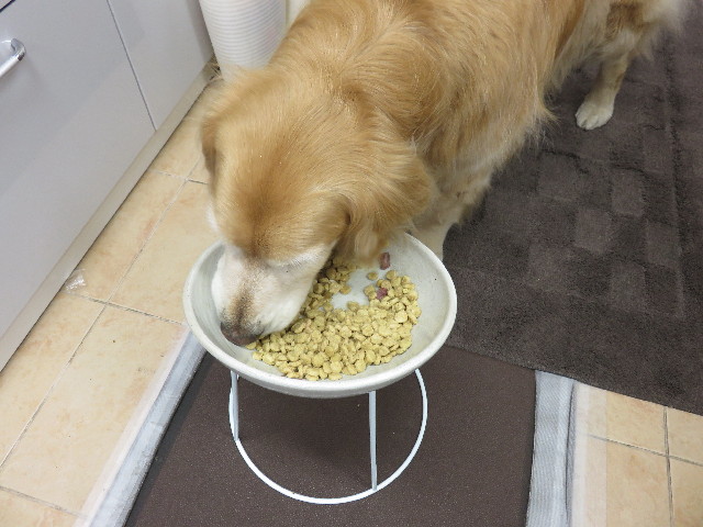 ファイル 4322-5.jpg