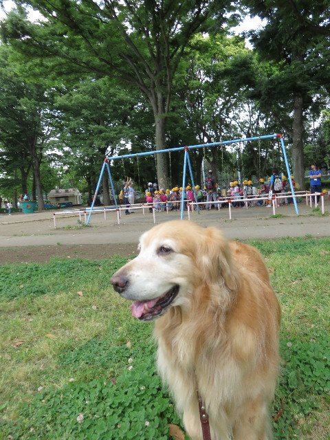 ファイル 4324-3.jpg