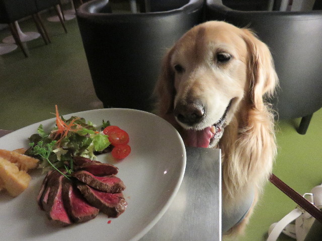 ファイル 4325-1.jpg