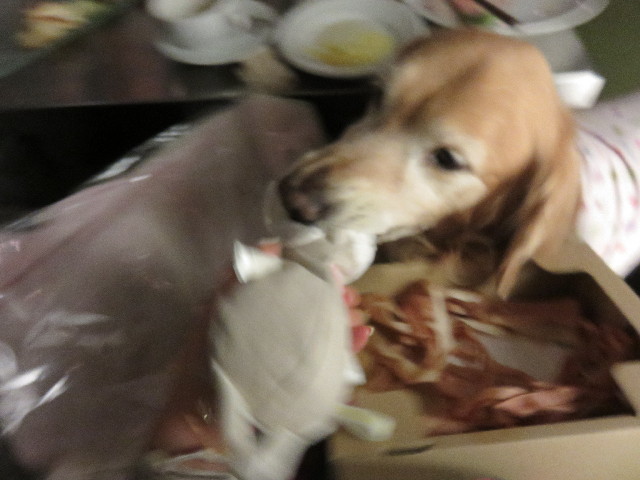 ファイル 4325-2.jpg