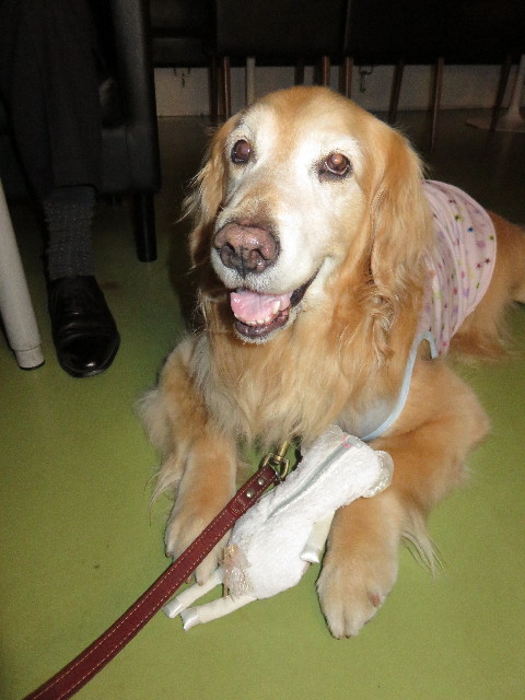 ファイル 4325-3.jpg