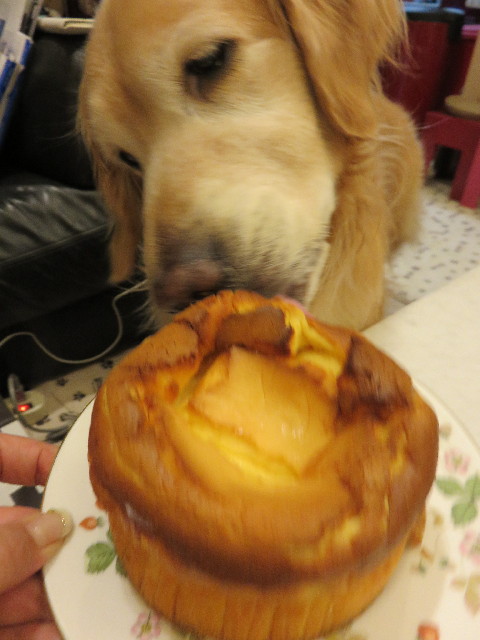 ファイル 4325-5.jpg