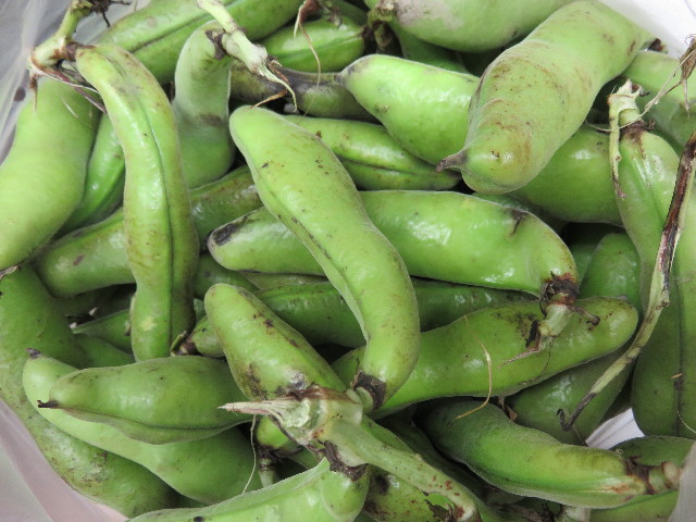 ファイル 4328-3.jpg