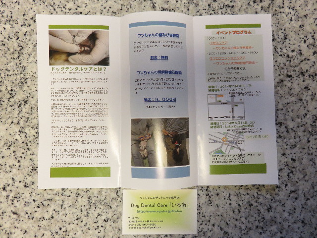 ファイル 4329-3.jpg