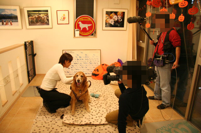 ファイル 433-2.jpg