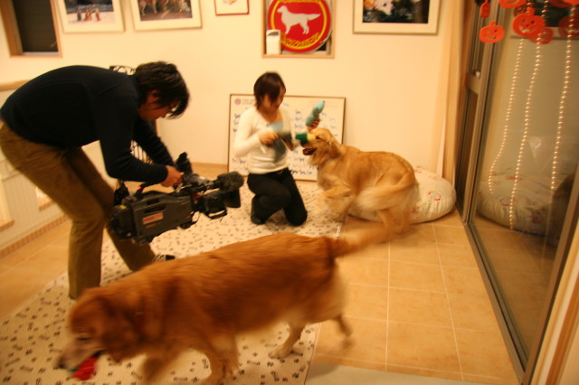 ファイル 433-4.jpg