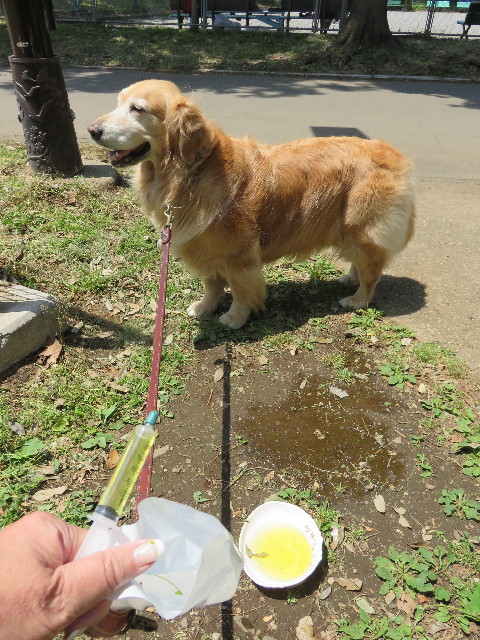 ファイル 4330-1.jpg