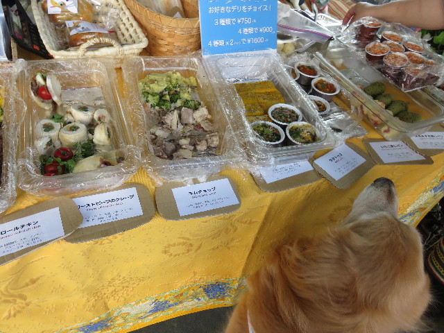 ファイル 4332-2.jpg