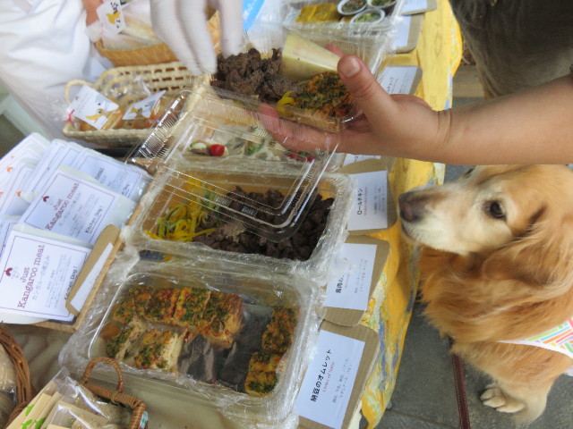 ファイル 4332-3.jpg