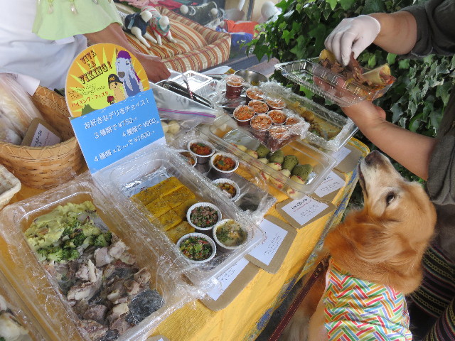 ファイル 4332-4.jpg