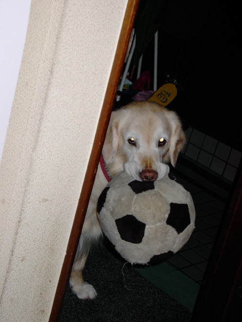 ファイル 4333-5.jpg