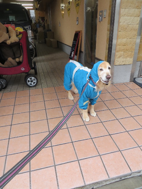 ファイル 4335-2.jpg