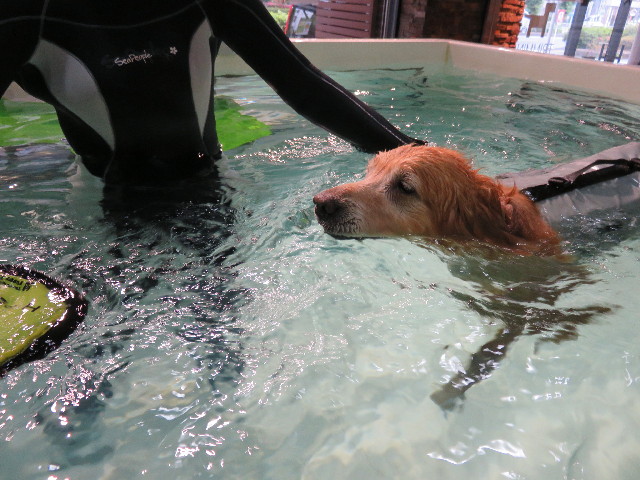 ファイル 4336-3.jpg