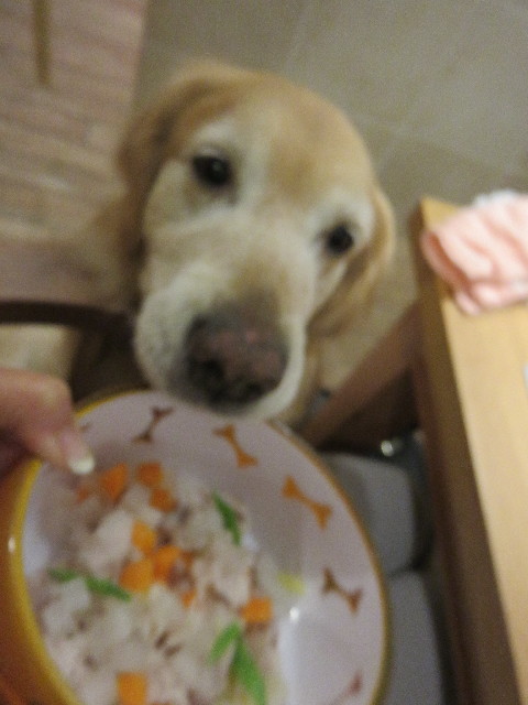 ファイル 4337-2.jpg