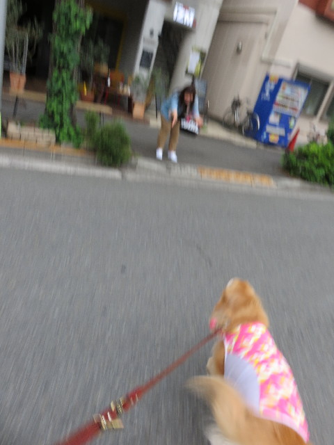 ファイル 4338-2.jpg