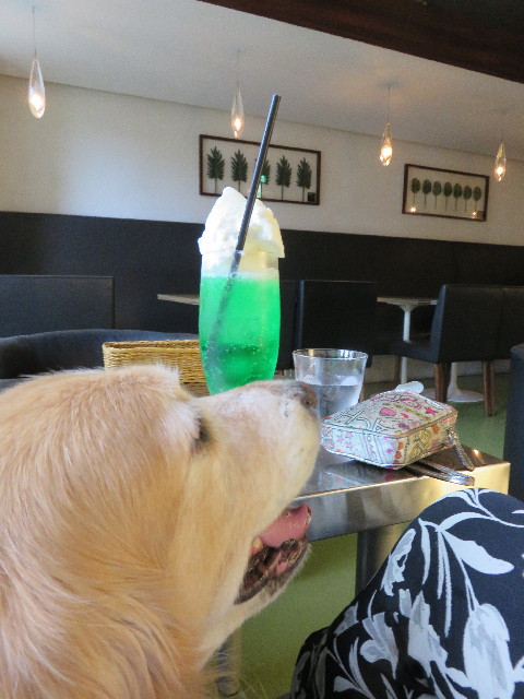 ファイル 4338-3.jpg