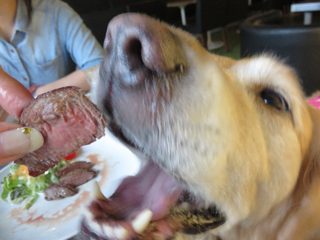 ファイル 4338-5.jpg