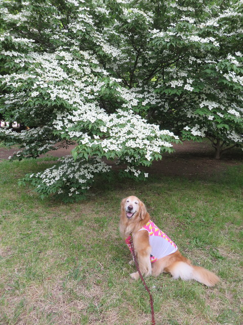 ファイル 4340-1.jpg