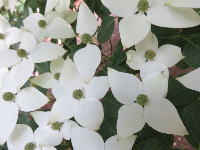 ファイル 4340-5.jpg