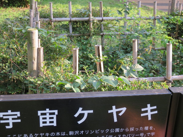 ファイル 4341-1.jpg