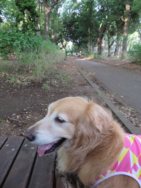 ファイル 4341-5.jpg