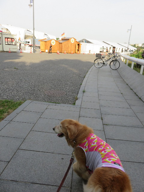 ファイル 4342-1.jpg