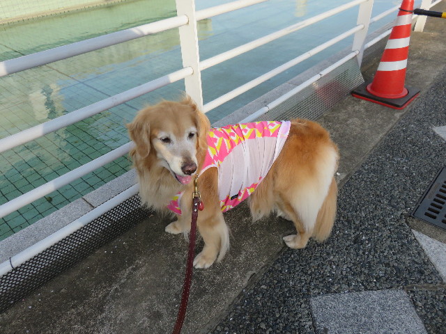 ファイル 4342-3.jpg