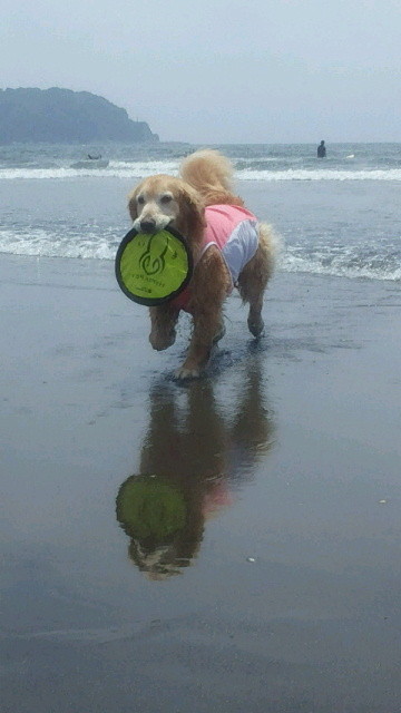 ファイル 4343-2.jpg