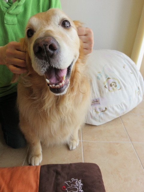 ファイル 4344-5.jpg