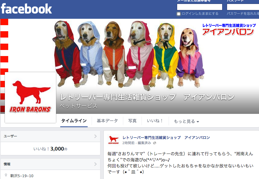 ファイル 4346-1.jpg