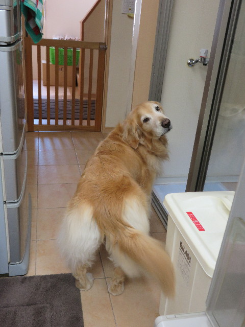 ファイル 4346-4.jpg