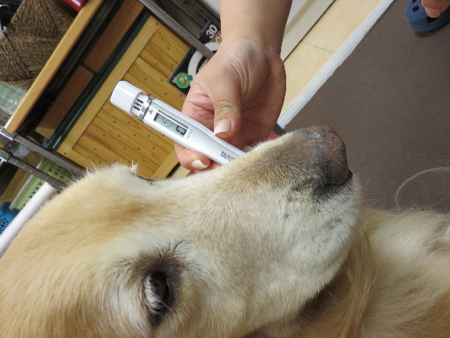 ファイル 4347-3.jpg