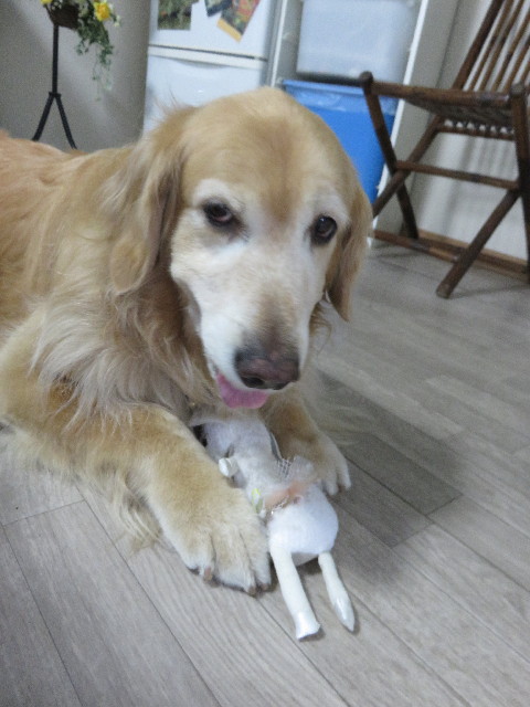 ファイル 4347-4.jpg