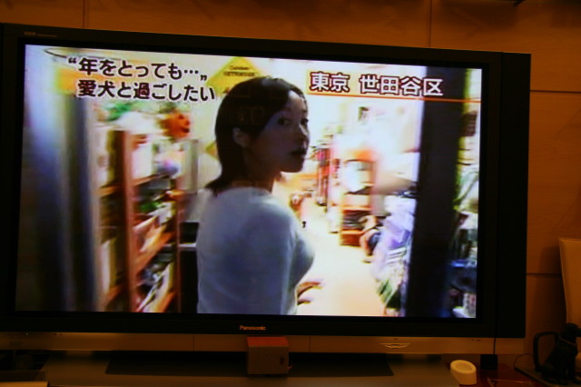 ファイル 435-1.jpg