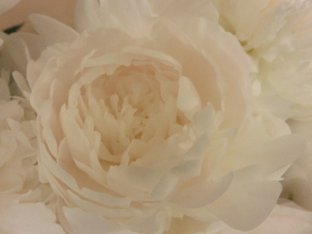 ファイル 4351-2.jpg