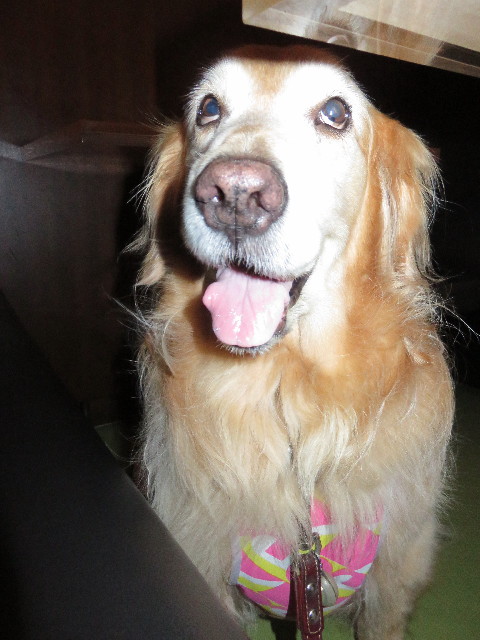 ファイル 4351-4.jpg