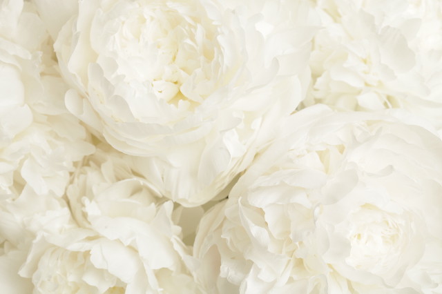 ファイル 4352-2.jpg