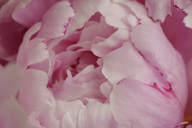 ファイル 4352-3.jpg