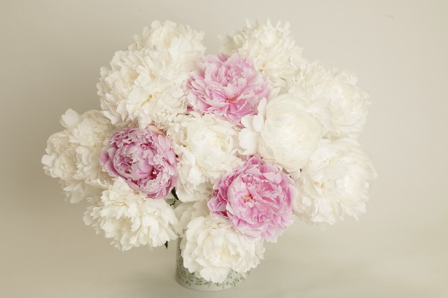 ファイル 4352-5.jpg