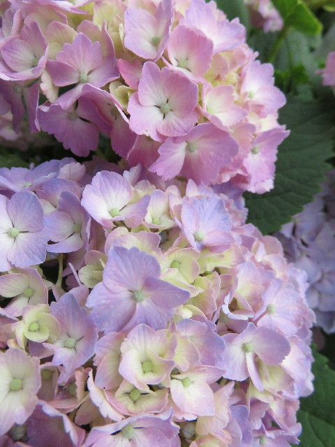 ファイル 4353-3.jpg