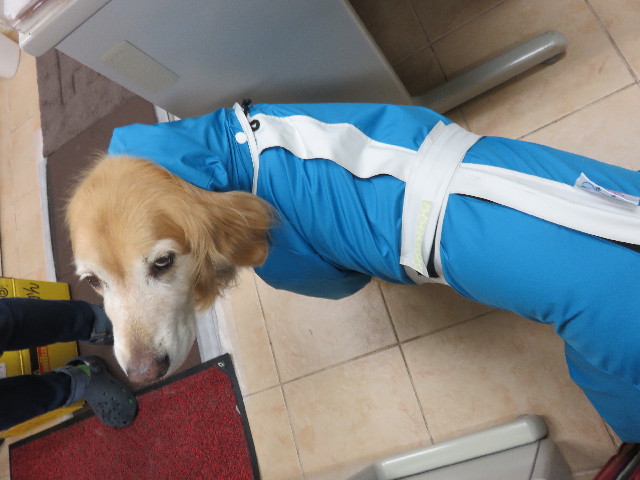 ファイル 4355-1.jpg