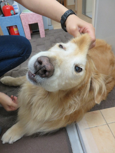 ファイル 4356-2.jpg